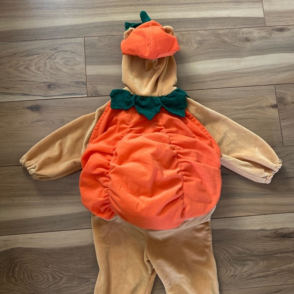 Winnie the Pooh pumpkin costume - Picture 5 of 6